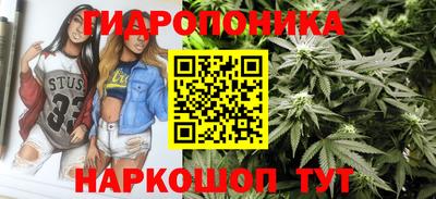 сатива Заволжье