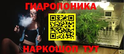 сатива Заволжье