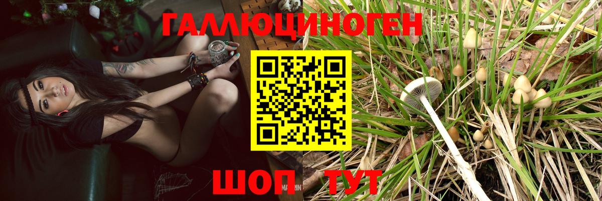 Ликино-Дулёво  Псилоцибиновые грибы MAGIC MUSHROOMS  Вход с VPN 