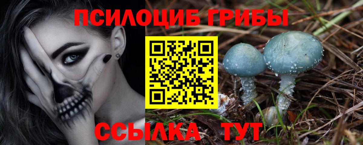 Галлюциногенные грибы GOLDEN TEACHER Ликино-Дулёво