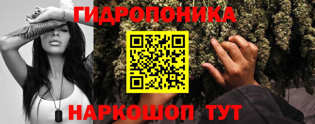 Бошки Шишки гибрид Ликино-Дулёво